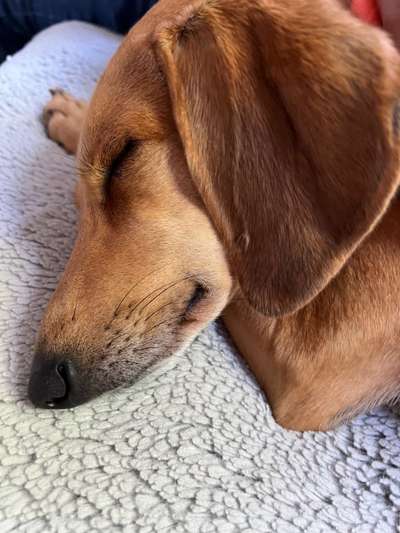 FOTO-Challenge  NR. 91: Die pure Entspannung-Beitrag-Bild