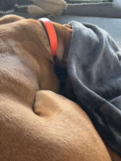 4. Lustiger Schlafplatz-Beitrag-Bild