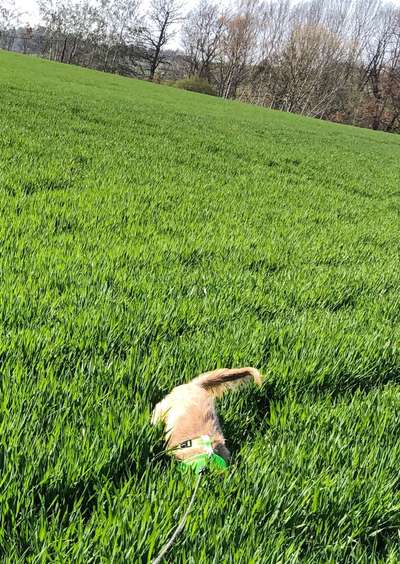 Theos  Fotochallenge Nummer 2-Beitrag-Bild