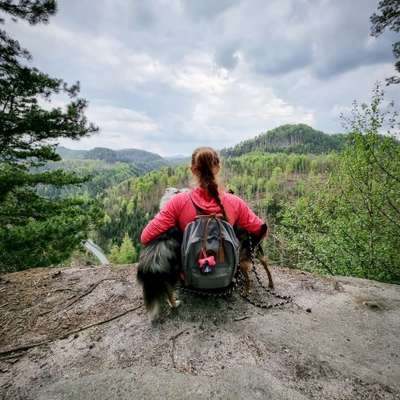 Hundetreffen-Training, Spazieren, Wandern-Profilbild