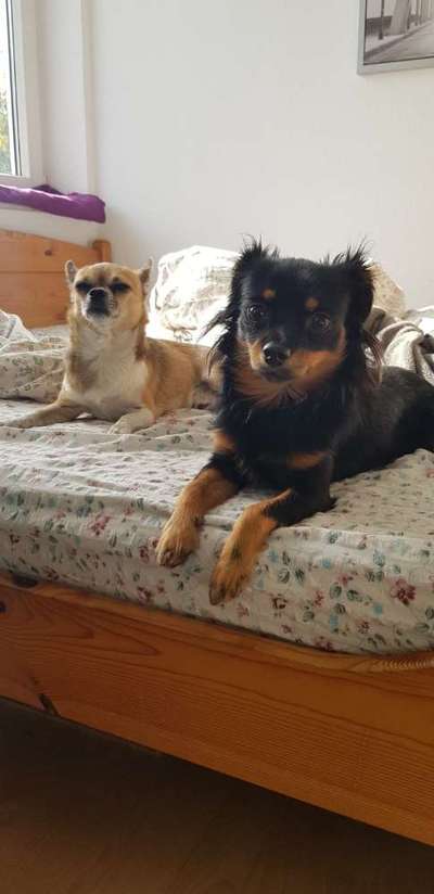 Best friends day-Beitrag-Bild