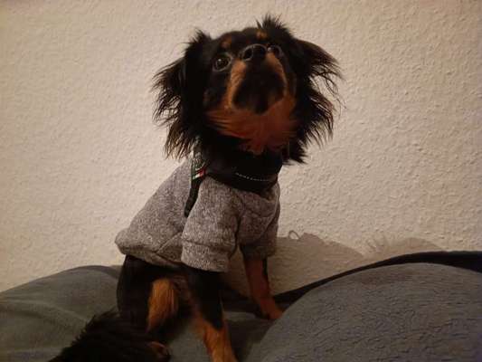 Süße Winteroutfits 😍-Beitrag-Bild