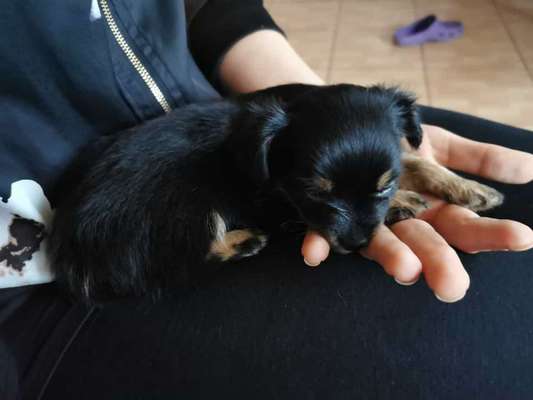 Das erste Foto-Beitrag-Bild