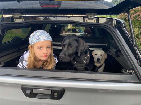 Die Dogorama Wochen Challenge-Beitrag-Bild