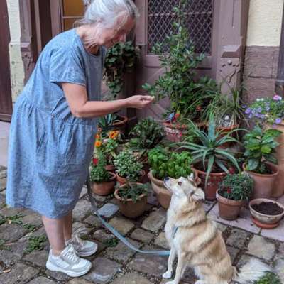 "Sitz" beibringen-Beitrag-Bild