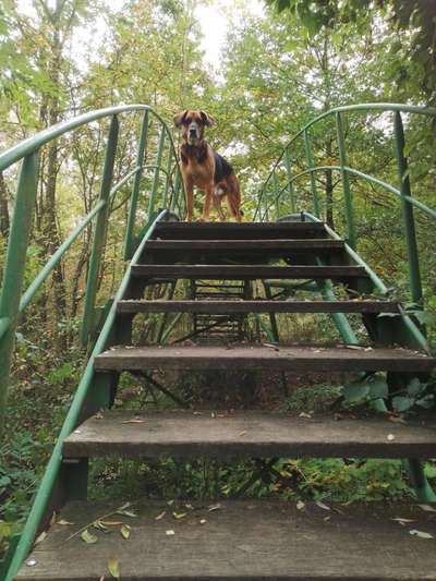 Zeigt mir eure Lieblingsfotos ♡♡-Beitrag-Bild