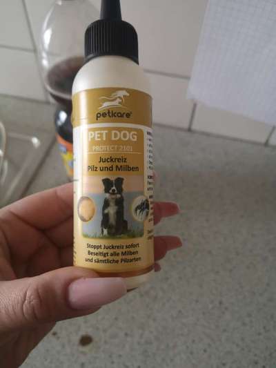 Hausstaubmilben-Beitrag-Bild