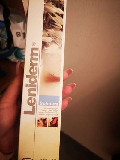 Hausstaubmilben-Beitrag-Bild