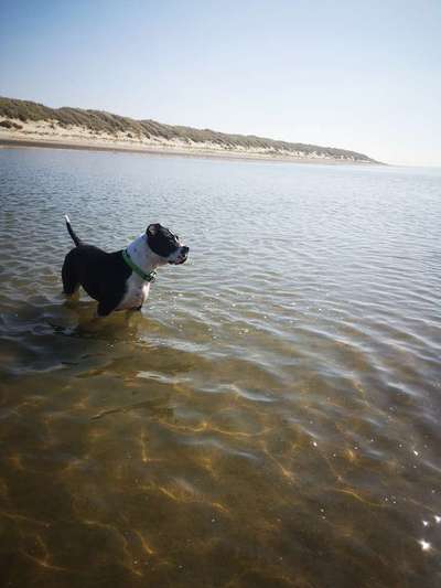 Urlaub Ost/Nordsee am Naturstrand-Beitrag-Bild