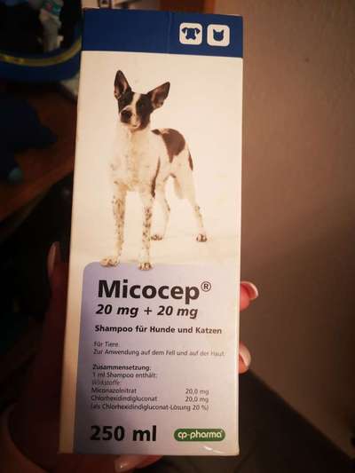 Hausstaubmilben-Beitrag-Bild