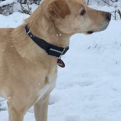 Gangbild/-analyse-Beitrag-Bild