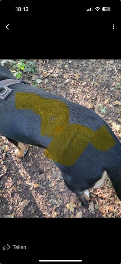 Gangbild/-analyse-Beitrag-Bild