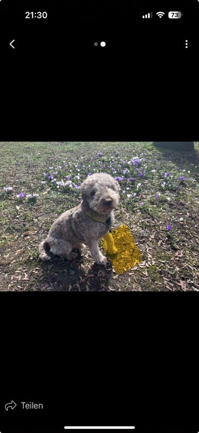 Gangbild/-analyse-Beitrag-Bild