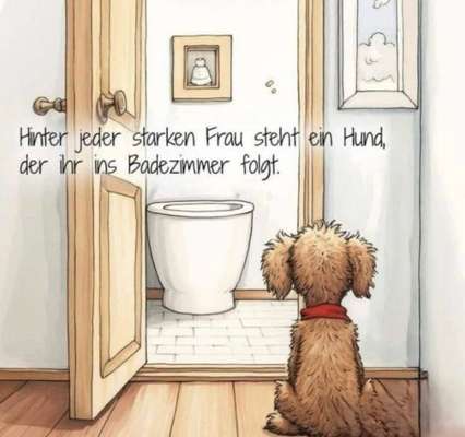 Hunde Memes-Beitrag-Bild