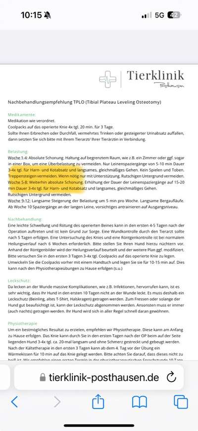 TPLO (Tibial Plateau Leveling Osteotomy) bei Deutscher Dogge-Beitrag-Bild