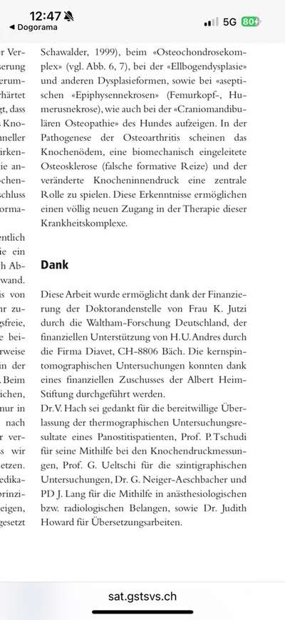 Panostitis bei Malinois Junghund-Beitrag-Bild