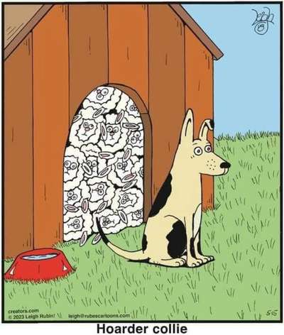 Hunde Memes-Beitrag-Bild