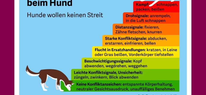 Aggressiv-Beitrag-Bild