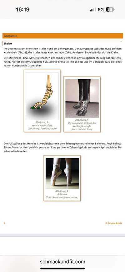 Gangbild/-analyse-Beitrag-Bild