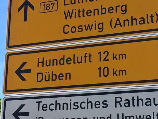 Hunde Memes-Beitrag-Bild