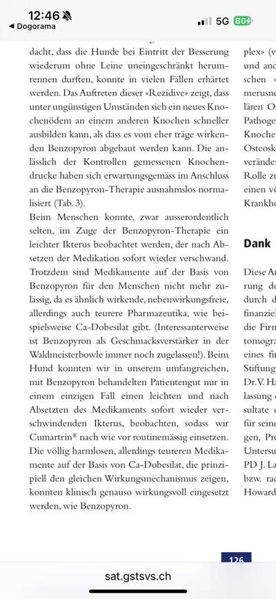 Panostitis bei Malinois Junghund-Beitrag-Bild