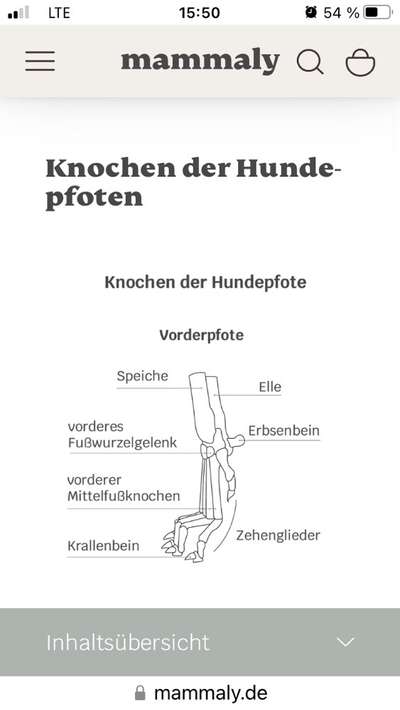 Abgerissene Kralle-Beitrag-Bild
