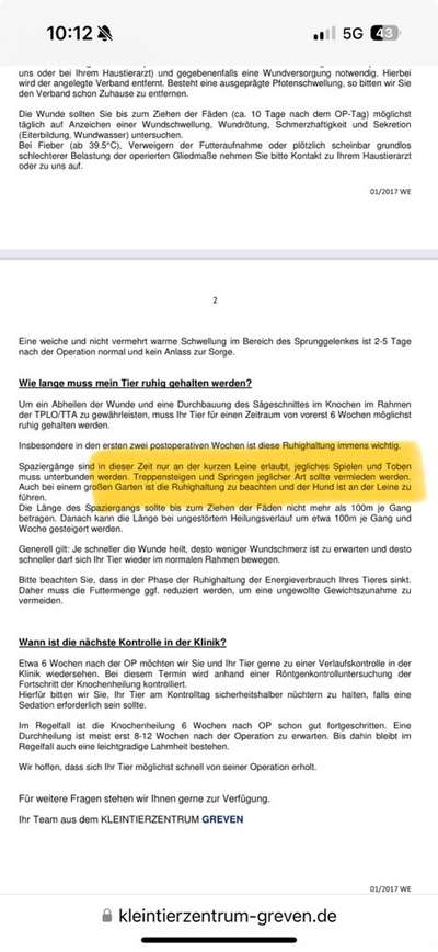 TPLO (Tibial Plateau Leveling Osteotomy) bei Deutscher Dogge-Beitrag-Bild