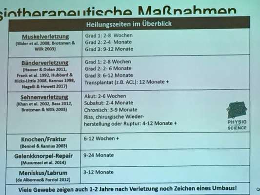 Welpe humpelt hinten-Beitrag-Bild