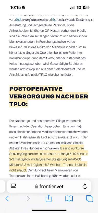 TPLO (Tibial Plateau Leveling Osteotomy) bei Deutscher Dogge-Beitrag-Bild