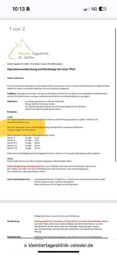 TPLO (Tibial Plateau Leveling Osteotomy) bei Deutscher Dogge-Beitrag-Bild