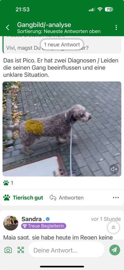 Gangbild/-analyse-Beitrag-Bild