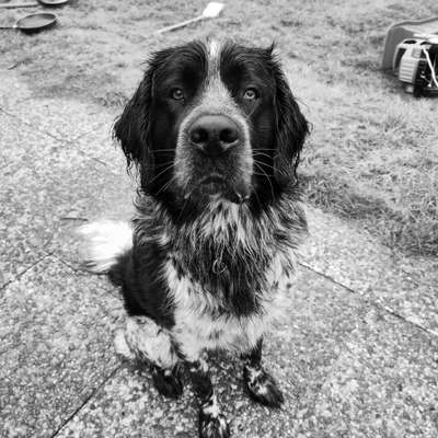 Foto-Challenge 76: Foto in Schwarz-Weiss-Beitrag-Bild