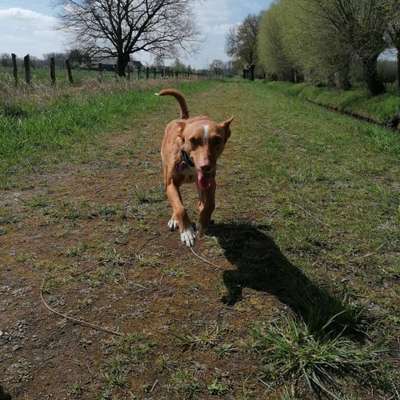 Fotochallenge No. 26                                     Wald und Wiese-Beitrag-Bild