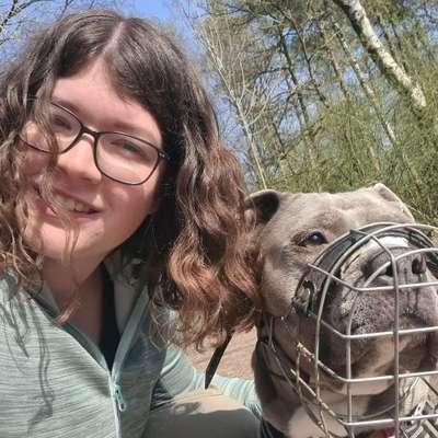Hundetreffen-Gemeinsamer Spaziergang