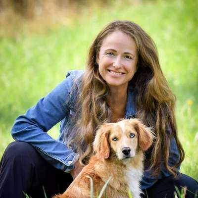 Hundeschulen-Martin Rütter-Hundeschule Dresden/Bautzen-Bild