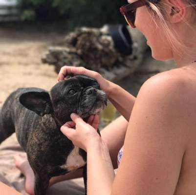 Die Dogorama Wochen Challenge: “Dein Hund im Urlaub”-Beitrag-Bild