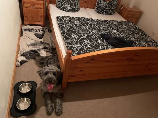 Tongue Out Tuesday-Beitrag-Bild