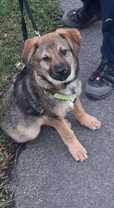 Sie werden so schnell erwachsen ...-Beitrag-Bild