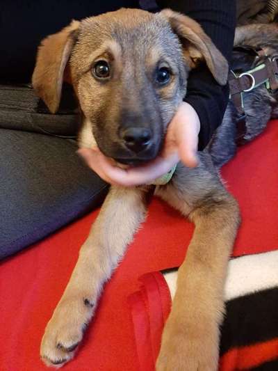 Sie werden so schnell erwachsen ...-Beitrag-Bild