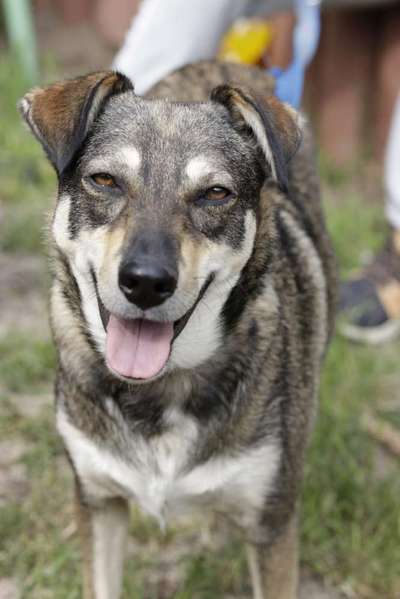 Grinsebacken-Beitrag-Bild