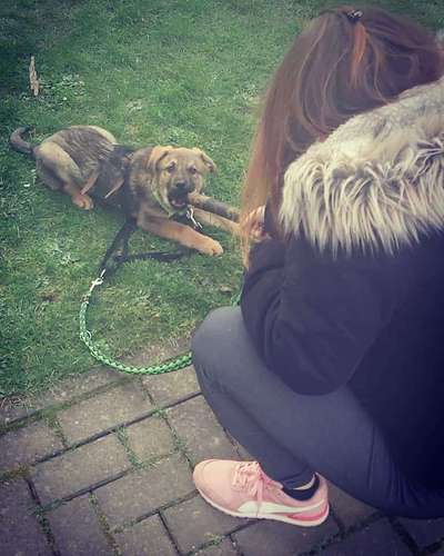 Sie werden so schnell erwachsen ...-Beitrag-Bild