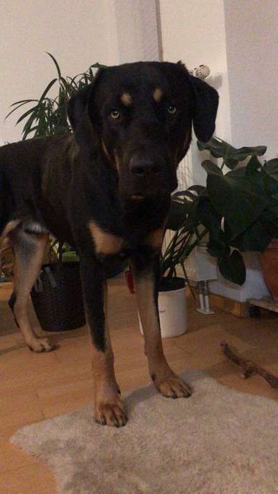 Lieblings "nervige Sprüche"-Beitrag-Bild