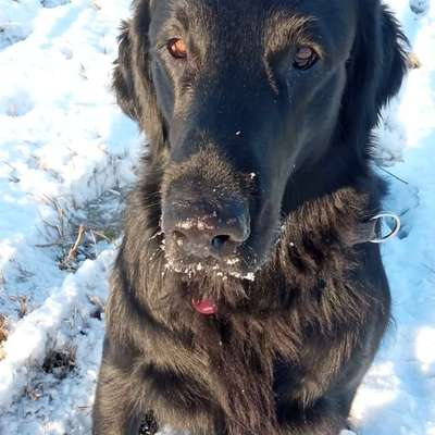 Fütterung im Winter-Beitrag-Bild