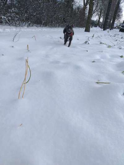 Dogorama Photo Challenge - Es wird nochmal kalt!-Beitrag-Bild