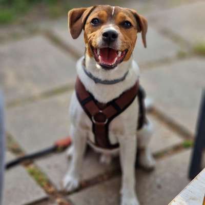 Das beste grinsefoto-Beitrag-Bild