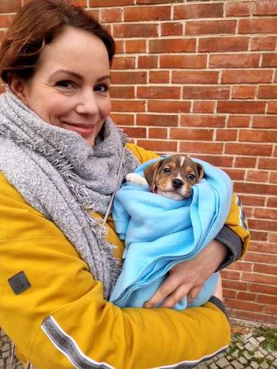 Dansky (Dansk-Svensk Gårdshund)-Beitrag-Bild