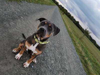 Fellnaseliebe-Beitrag-Bild