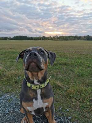 Fellnaseliebe-Beitrag-Bild