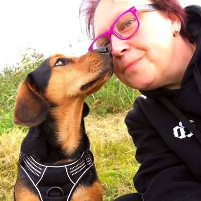 Hundetreffen-Spaziergang,Spiel und mehr-Profilbild