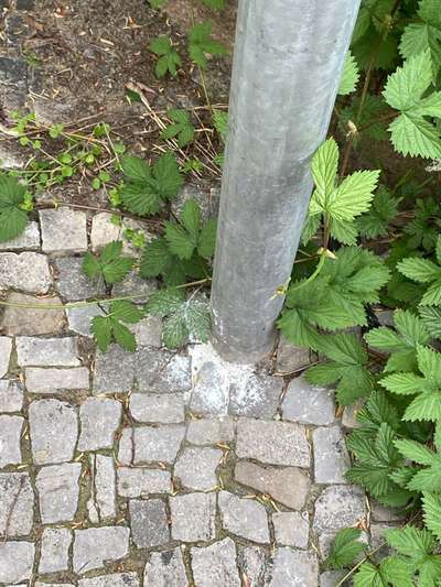 Giftköder-ratengift o.ä-Bild